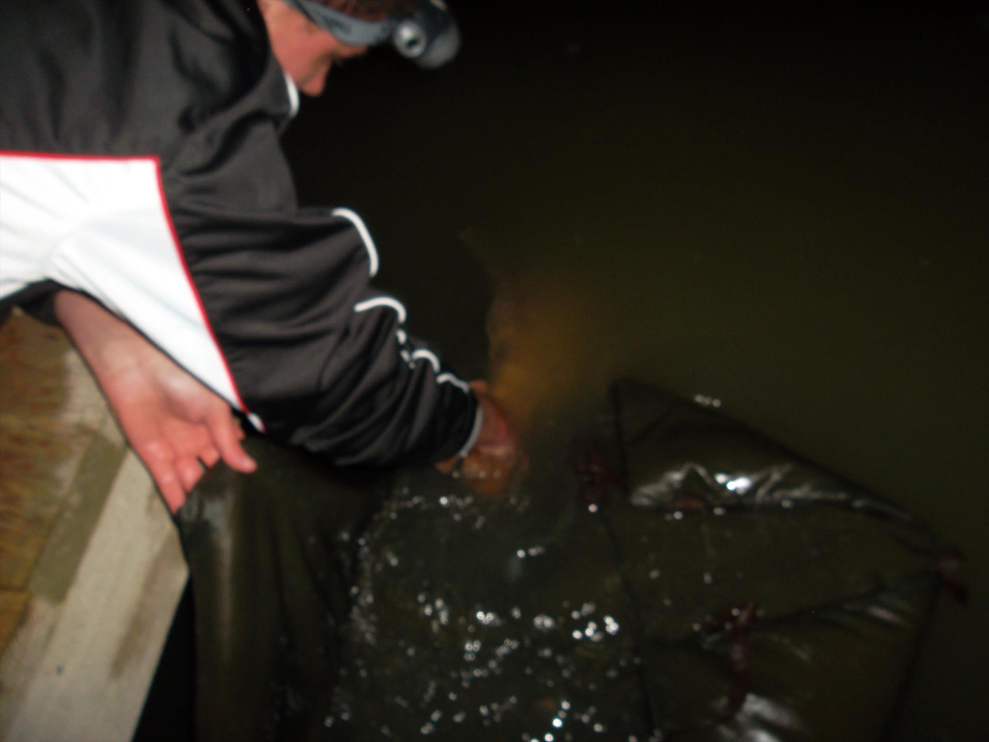 Corbu II 18 - 19 mai 2014 - sam3479.JPG